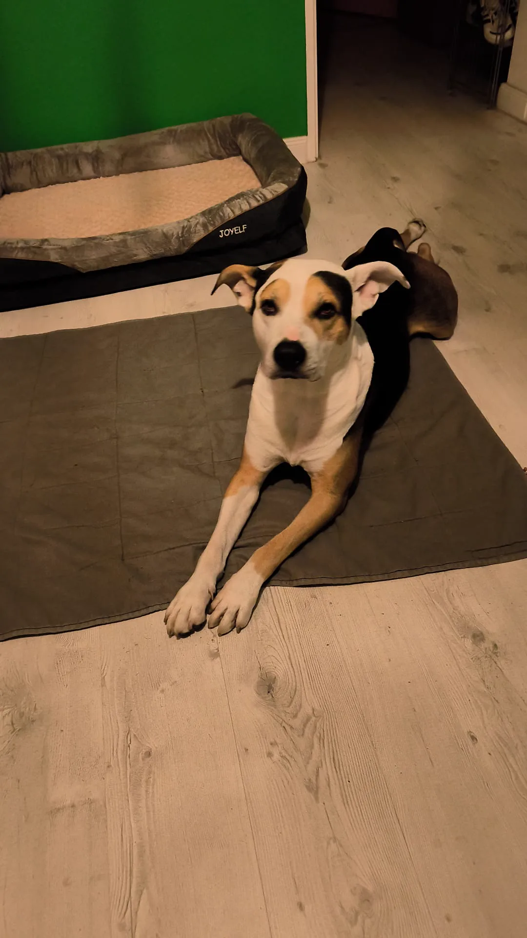 Digger Marley — Off Duty