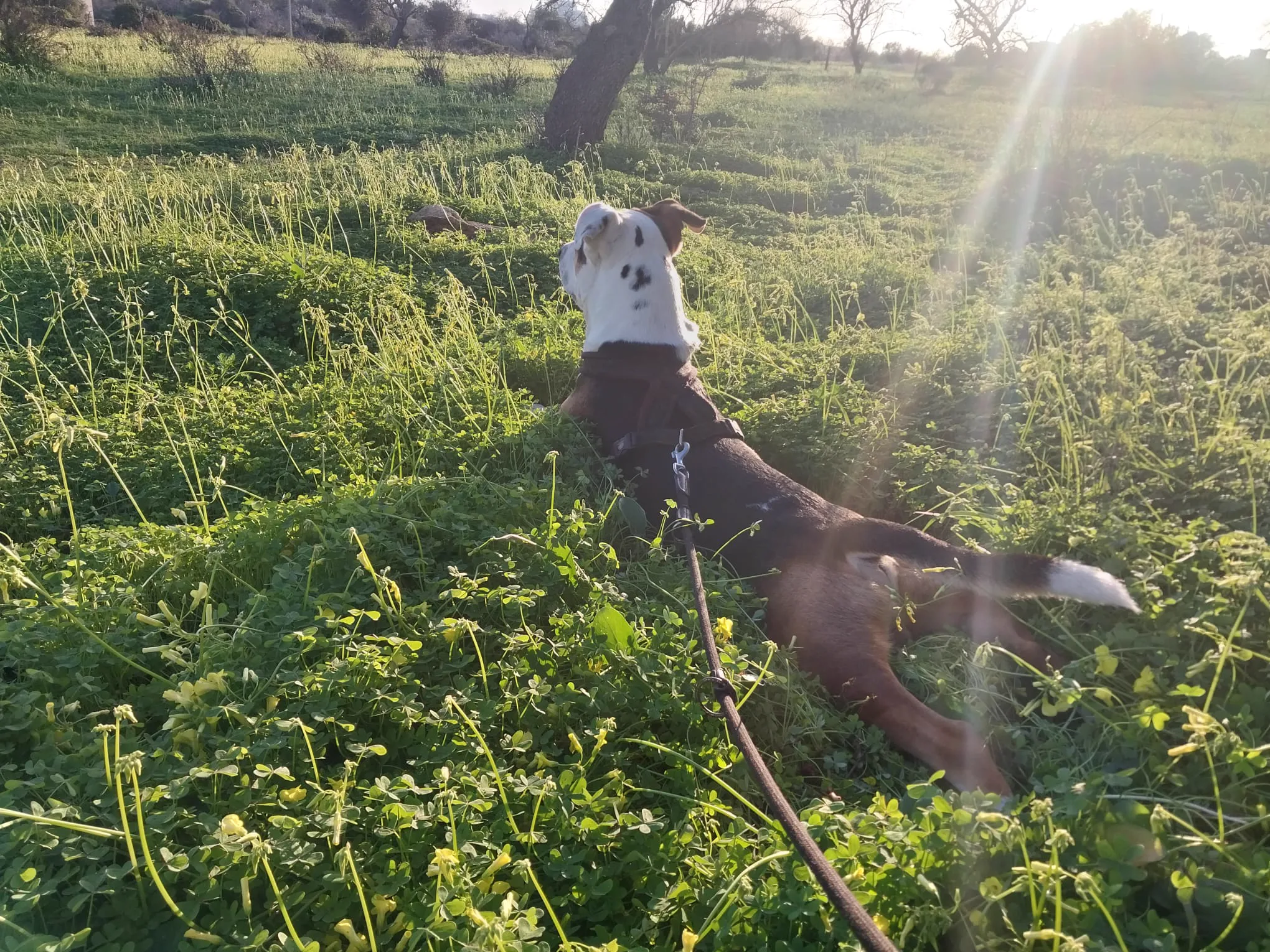 Digger Marley — In Bewegung